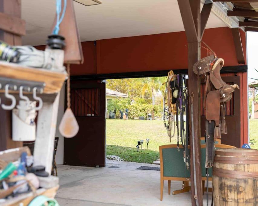 Tampa Bay Oasis Apartman Tarpon Springs Kültér fotó