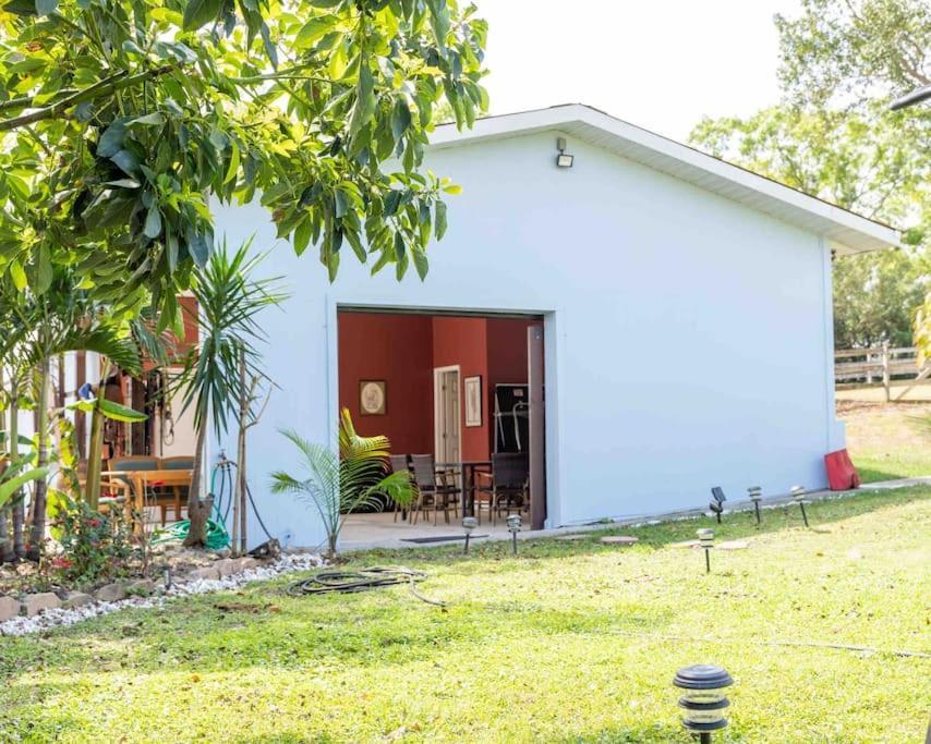 Tampa Bay Oasis Apartman Tarpon Springs Kültér fotó