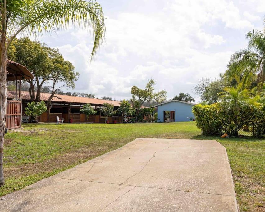 Tampa Bay Oasis Apartman Tarpon Springs Kültér fotó